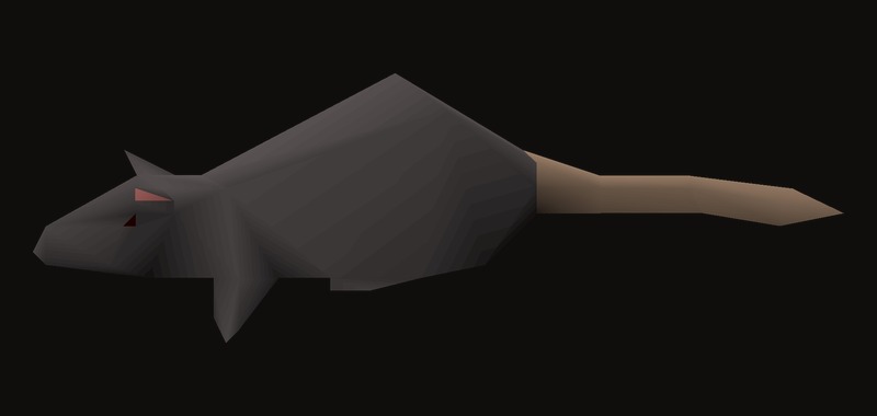 Rat in Old School RuneScape