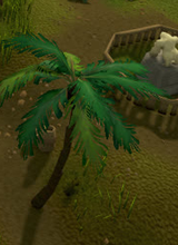 Ninja ape of Ape Atoll, Old School RuneScape